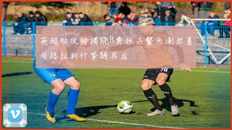 英超助攻榜揭晓B费独占鳌头谢尔基与格拉利什紧随其后