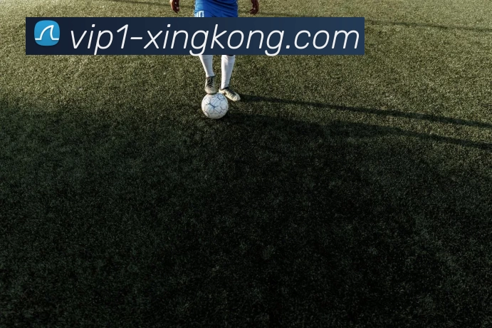 赛事专题整合